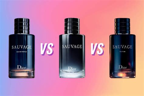 dior sauvage vs dolce & gabbana the one|Dior Sauvage Eau De Parfum Review (2024): The .